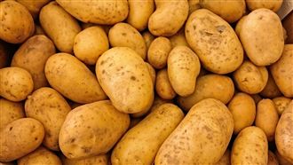 ART允腐爛馬鈴薯輸台？石崇良：斷章取義