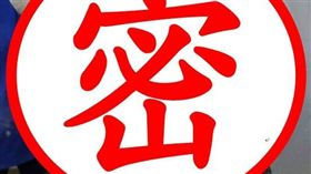 一名飼主將寵物犬美容後的造型PO網，引得不少網友稱讚，「這誘人犯罪的曲線」、「太性感了，求正面照」。（圖／翻攝自爆料公社）