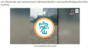 泰國芭達雅海灘,情侶,野戰（圖／翻攝自amarintv）