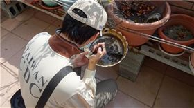 受暖冬影響，今年首例本土登革熱病例高雄市現蹤。疾管署指出，這是3年來首次在2月就出現本土登革熱疫情，患者疑似遭境外移入個案感染，呼籲民眾外出走春務必做好防蚊措施。（圖／翻攝自疾病管制署）