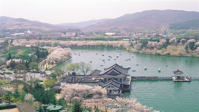賞花迷必看2019日韓春天打卡勝地