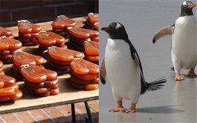 企鵝腳,烏魚子,抹黑　圖／臉書
