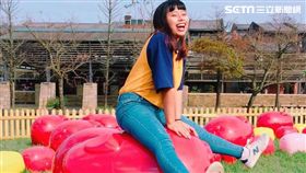 春節,宜蘭傳藝園區,2019傳藝燈籠節,優惠,百豬迷宮,全聯,唐美雲歌仔戲團