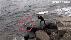 屏東,小琉球,海龜,繩圈,野生動物保護法