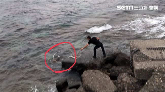小琉球人快來！男竟拋繩圈「套海龜」