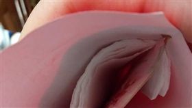 兒收舅舅紅包…驚見「超厚陰謀」媽無限白眼　網推：好招！
圖翻攝自爆廢公社二館