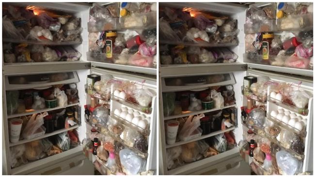 岳母冰箱超暗黑！網：我家還爆綠汁…