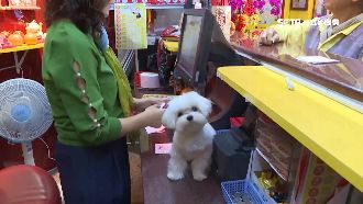 投注站養狗後…今年連3天開百萬紅包