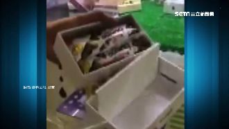 花千元保夾愛瘋　拆盒竟是2條巧克力