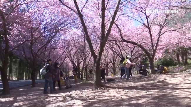 「春遊」補助來了　將鎖定這兩大族群