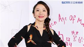 陶晶瑩「陶晶瑩的1999年演唱會」。（記者林士傑/攝影）