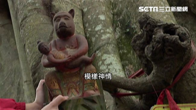 老雀榕有神效？吸特種行業「求財」