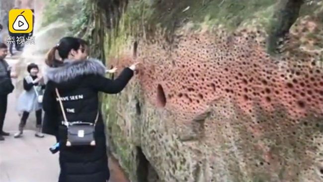 遊客超會戳？竟把山壁變成「馬蜂窩」