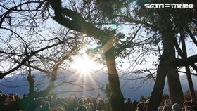 春節,連假,氣象局,東北季風,低溫,天氣,開工,上班