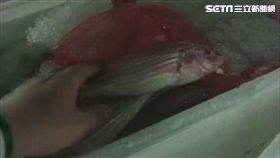 台中魚市場、魚貨、魚市場／資料照