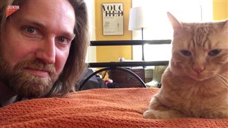 貓咪半夜不睡覺　主人只好使出這一招