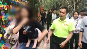 2女擅自抱走模型豬，風景區大叔苦纏300公尺救豬。（圖／翻攝自梨視頻）