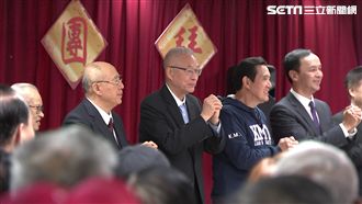 藍4太陽齊聚交鋒　朱搶先成立選辦