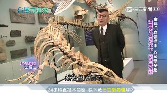 技術領航亞洲！古生物修復團隊在台灣