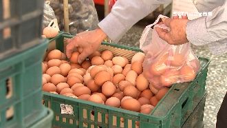 賣場、早餐店「缺蛋」　月底供應回穩