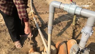 土地公託夢　嘉義老翁挖出「黃金水」