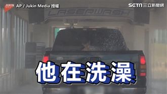 洗車廠清涼奇景　車主笑到不行