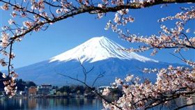 名家專用／旅遊滔客誌／台日韓賞櫻祕境（勿用）