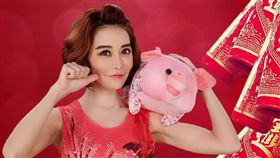 斯容表示當年為了整形，還特地發揮購物專家的精神蒐集許多資料。（圖／翻攝自臉書）