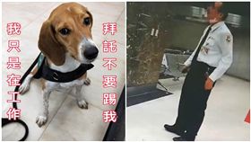 全民怒了！「護國神犬」遭移民署官員狠踹　他辯：我討厭狗 圖／翻攝自有點毛毛的臉書