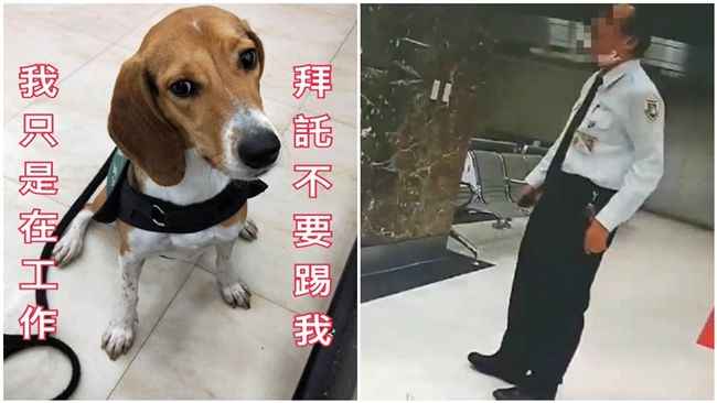 「護國神犬」遭踹　愛狗的蘇揆說話了