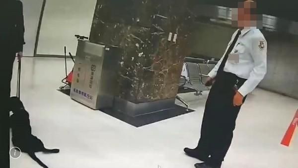 護國神犬遭踹！網友怒：人家是公務員