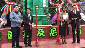 台北燈節聖克里斯多福及尼維斯花燈揭幕台北市政府觀光傳播局13日舉行台北燈節「友好城市亮晶晶」記者會，北市觀傳局長劉奕霆（左起）、北市府副秘書長薛春明、聖克里斯多福及尼維斯駐華大使哈菁絲（Jasmine Elise Huggins）及外交部次長曹立傑出席，為聖克里斯多福及尼維斯參展花燈揭幕。中央社記者陳怡璇攝  108年2月13日