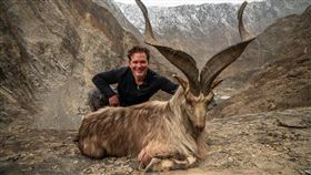 （圖／翻攝自推特）美國,巴基斯坦,狩獵,捻角山羊,國獸