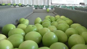 沒92共識照賣！農產外銷54億美元