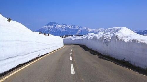 日本東北賞櫻百選美景　雪之迴廊奇觀