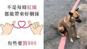 情人節去死去死團？不是每條紅線都是好姻緣（圖／翻攝自TCPB 局長室 臉書）