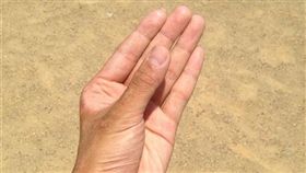 手指,手掌（圖／翻攝自pixabay）