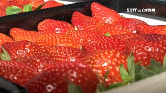 草莓、百香果台語怎唸？實測考倒民眾