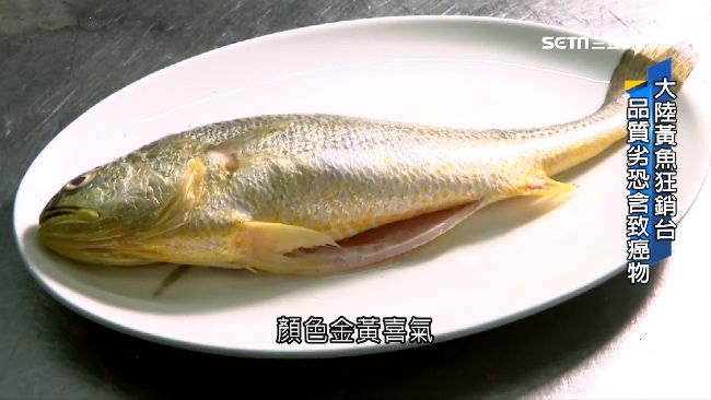 含致癌物孔雀綠　中國劣質黃魚狂銷台