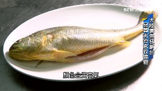 含致癌物孔雀綠　中國劣質黃魚狂銷台