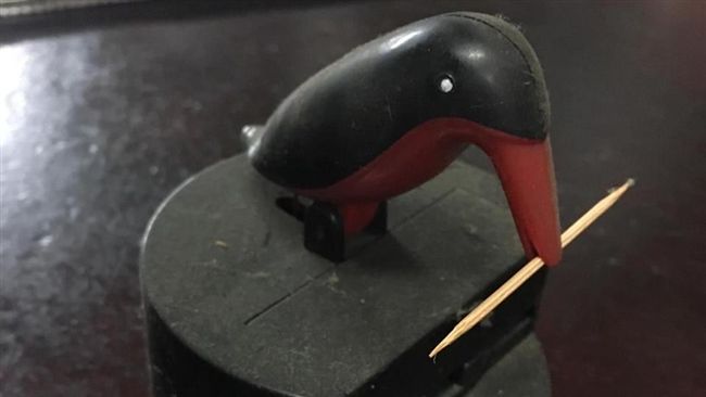 這隻鳥模型勾回憶　網笑：玩到被巴頭