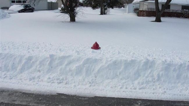 加拿大暴風雪太恐怖　積雪高如米格魯