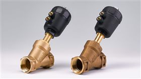 國際認證「抄襲國」！德國頒剽竊奬　中國包辦10大獎項
圖翻攝自Plagiarius.com