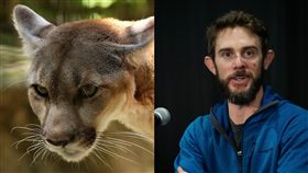 獅子,徒手,美國,治療,襲擊,打頭,攻擊,過程, 圖／翻攝自推特、Pixabay