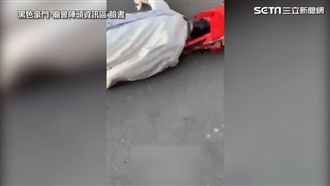 七爺拜廟 「五體投地」網：禮數很夠