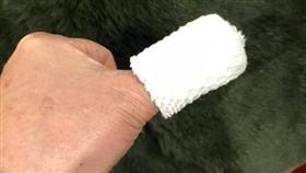 段宜康被螃蟹夾手 翻攝自/段宜康臉書