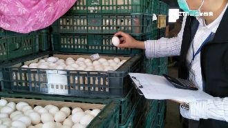 「芬普尼蛋」賣出2千多箱！業者喊冤