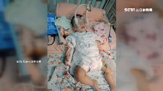 募醫藥費遭爆買名牌　母駁：子虛烏有