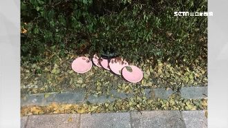 壽司盤遭攜出棄置　店員：太忙疏失