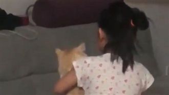 小女孩抱喵皇唱歌　網融化：超有愛